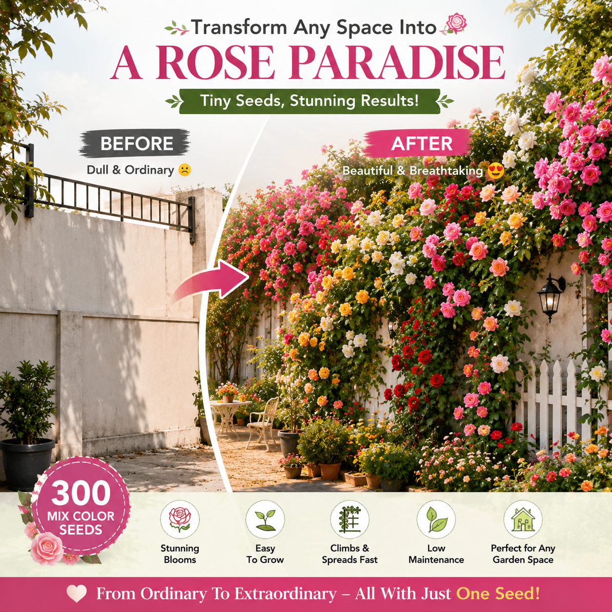 300 Mix Color Climbing Rose Seeds with Free Fertilizer