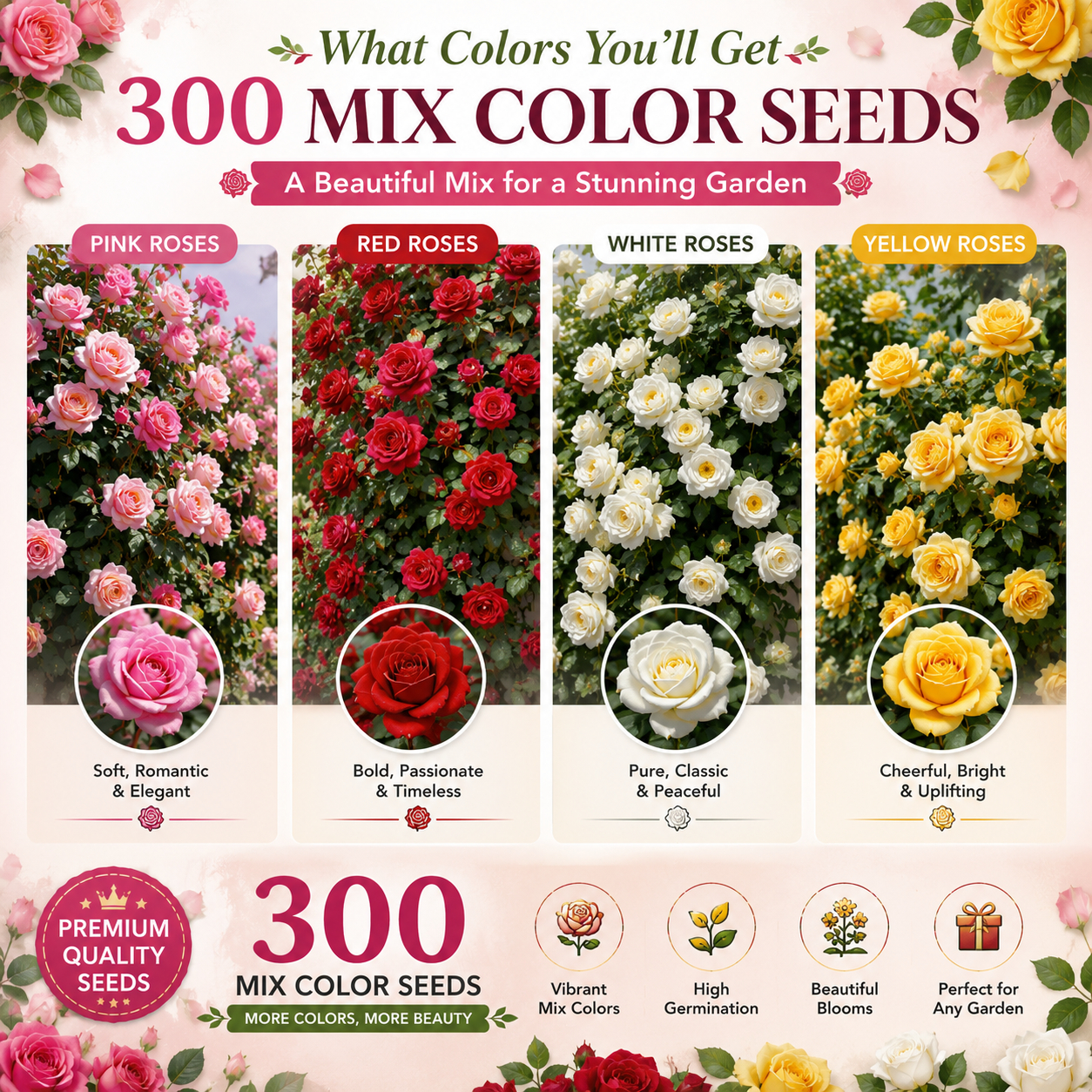 300 Mix Color Climbing Rose Seeds with Free Fertilizer