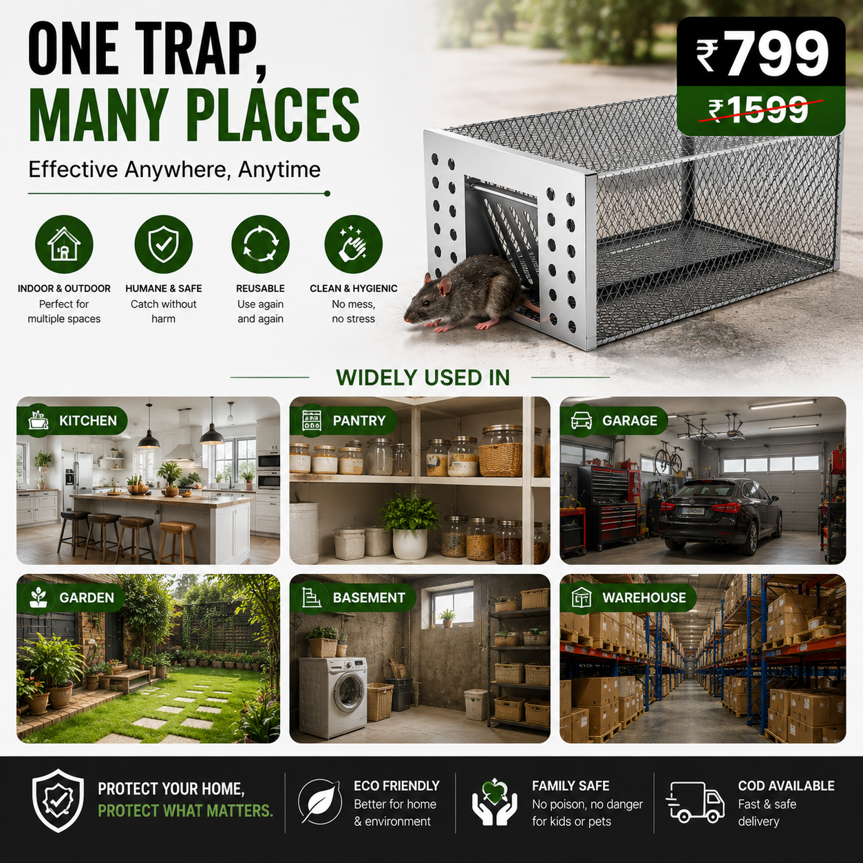 Humane Live Catch & Release Mouse Trap