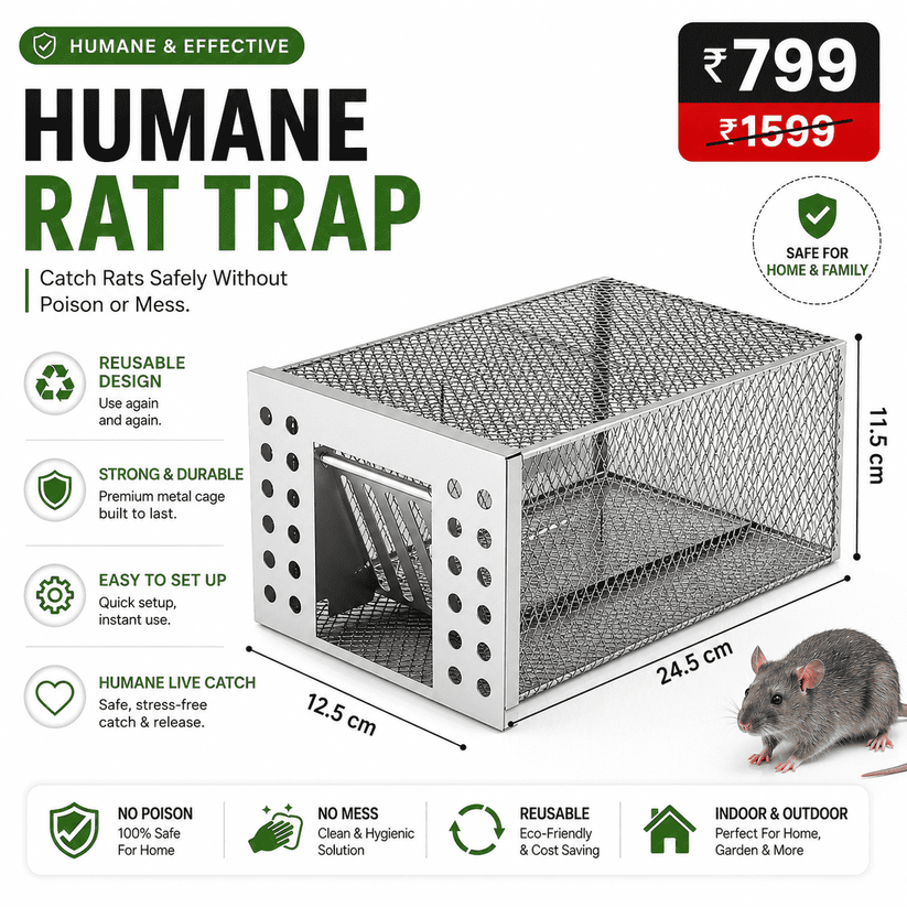 Humane Live Catch & Release Mouse Trap – Trustsbox