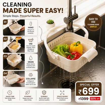 Collapsible Sink Strainer Basket & Sponge Holder Pack of 1