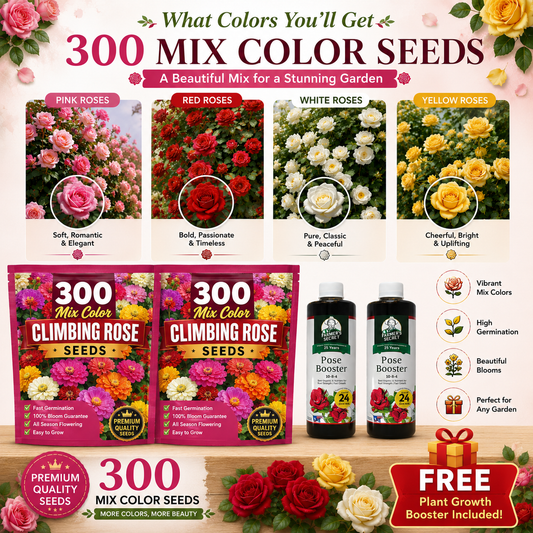 300 Mix Color Climbing Rose Seeds with Free Fertilizer
