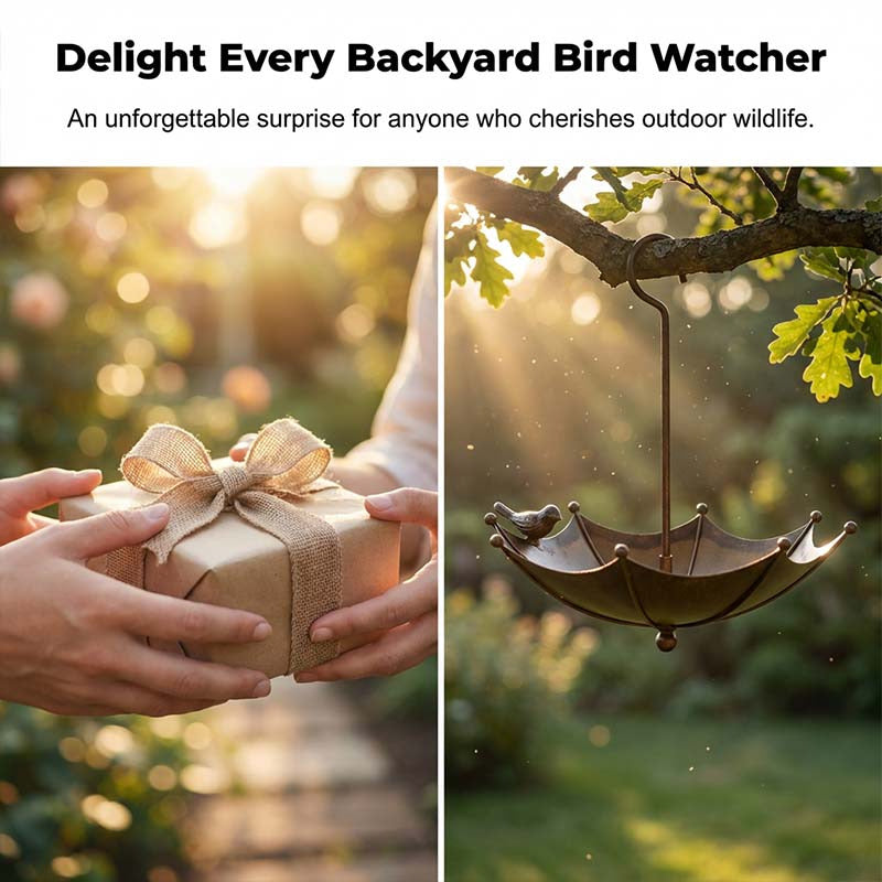 Hanging Umbrella Bird Feeder & Bath Pack of 2